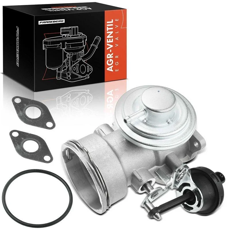 lott-298268