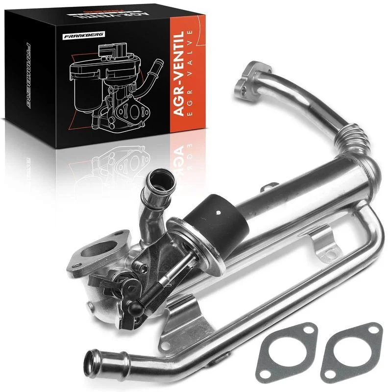 lott-300440