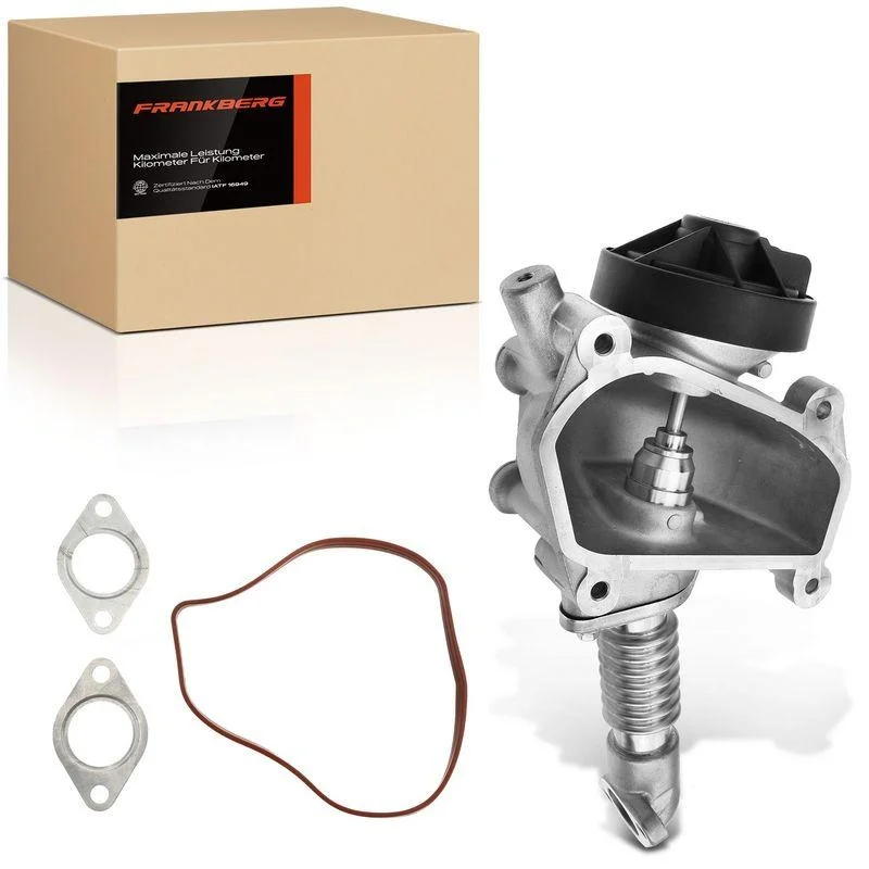 lott-302496