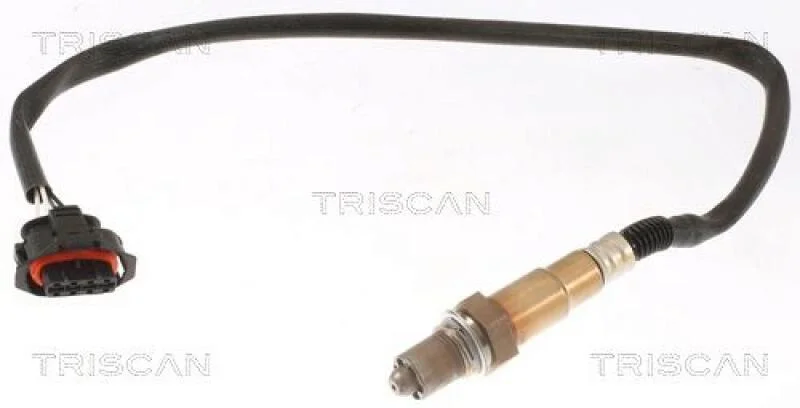 lott-329246