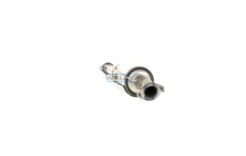 lott-359924