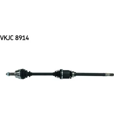 moto100-314118