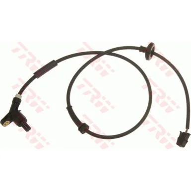 moto100-329569