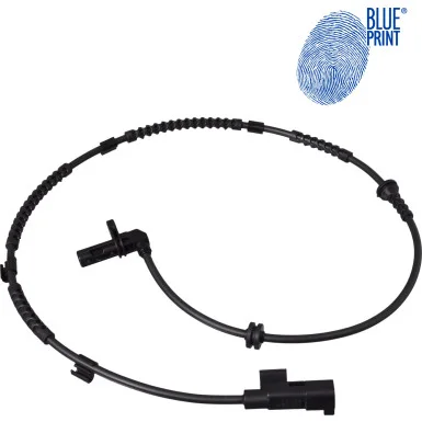 moto100-329587