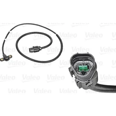 moto100-508873