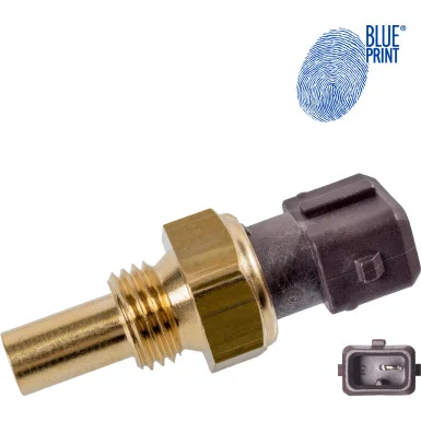 moto100-510184