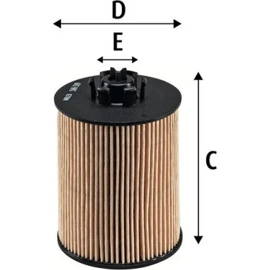 moto100-645096
