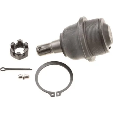 moto100-894714