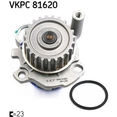 moto100-912927