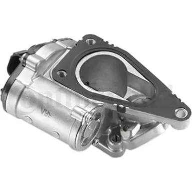 moto100-923365