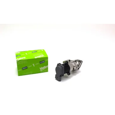 moto100-924264